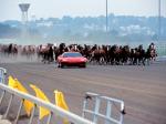 Ferrari 360 Modena F1 1999 года (WW)
